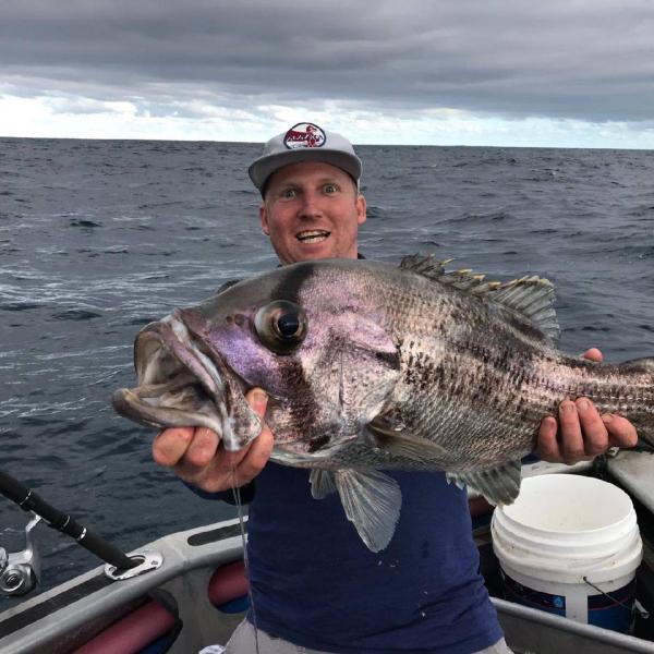 Catch of the day